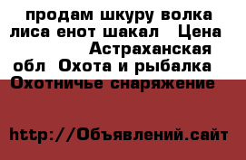 продам шкуру волка лиса енот шакал › Цена ­ 10 000 - Астраханская обл. Охота и рыбалка » Охотничье снаряжение   